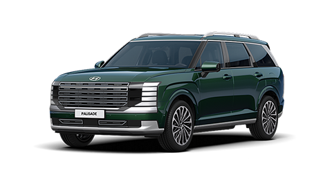 Команда D.A.D Motors